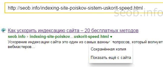 проверка индексации отдельной страницы в Яндексе